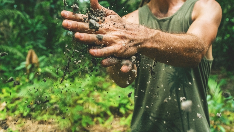 Putting Your Hands to the Plow